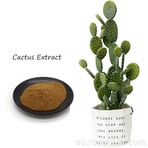 Extracto de cactus herbal 100% natural en polvo 20: 1